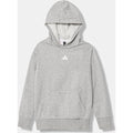 Adidas Felpa con Cappuccio Junior Essentials Small Logo - JV9995 - Grigio mélange / Bianco - vista principale